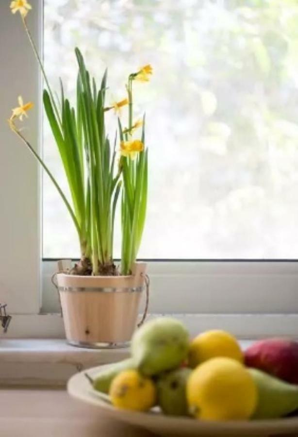 At Trendy Glyfada'S Center Apartment Athena Bagian luar foto
